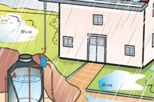 Rainwater Collection Basics
